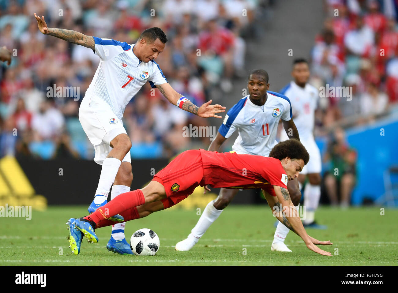 Sochi, Russia. 18th June, 2018. World Cup, preliminary stage, Group G: Belgium vs Panama in the Sochi Stadium. Belgium's Axel Witsel (bottom) and Panama's Blas Perez (L) and Armando Cooper vying for the ball. Photo: Marius Becker/dpa Credit: dpa picture alliance/Alamy Live News Stock Photo