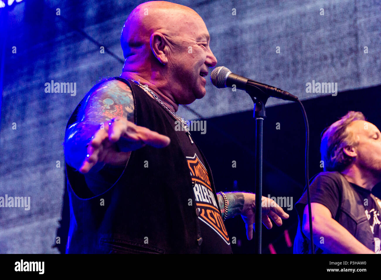 rose tattoo band 2018