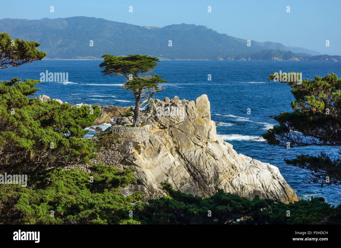 Monterey, USA. 03rd June, 2017. 03.06.2017, USA, Monterey: The West Coast on 17-Mile Drive south of San Francisco. Credit: Patrick Pleul/dpa-Zentralbild/ZB | usage worldwide/dpa/Alamy Live News Stock Photo