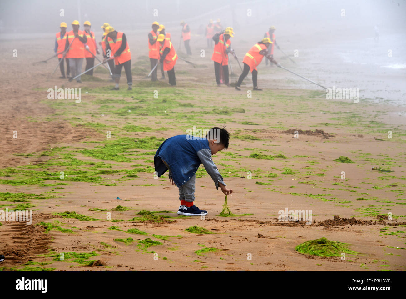 Qingdao, China's Shandong Province. 19th June, 2018. Workers clear enteromorpha, a type of algae, along the beach in Qingdao, east China's Shandong Province, June 19, 2018. Credit: Li Ziheng/Xinhua/Alamy Live News Stock Photo