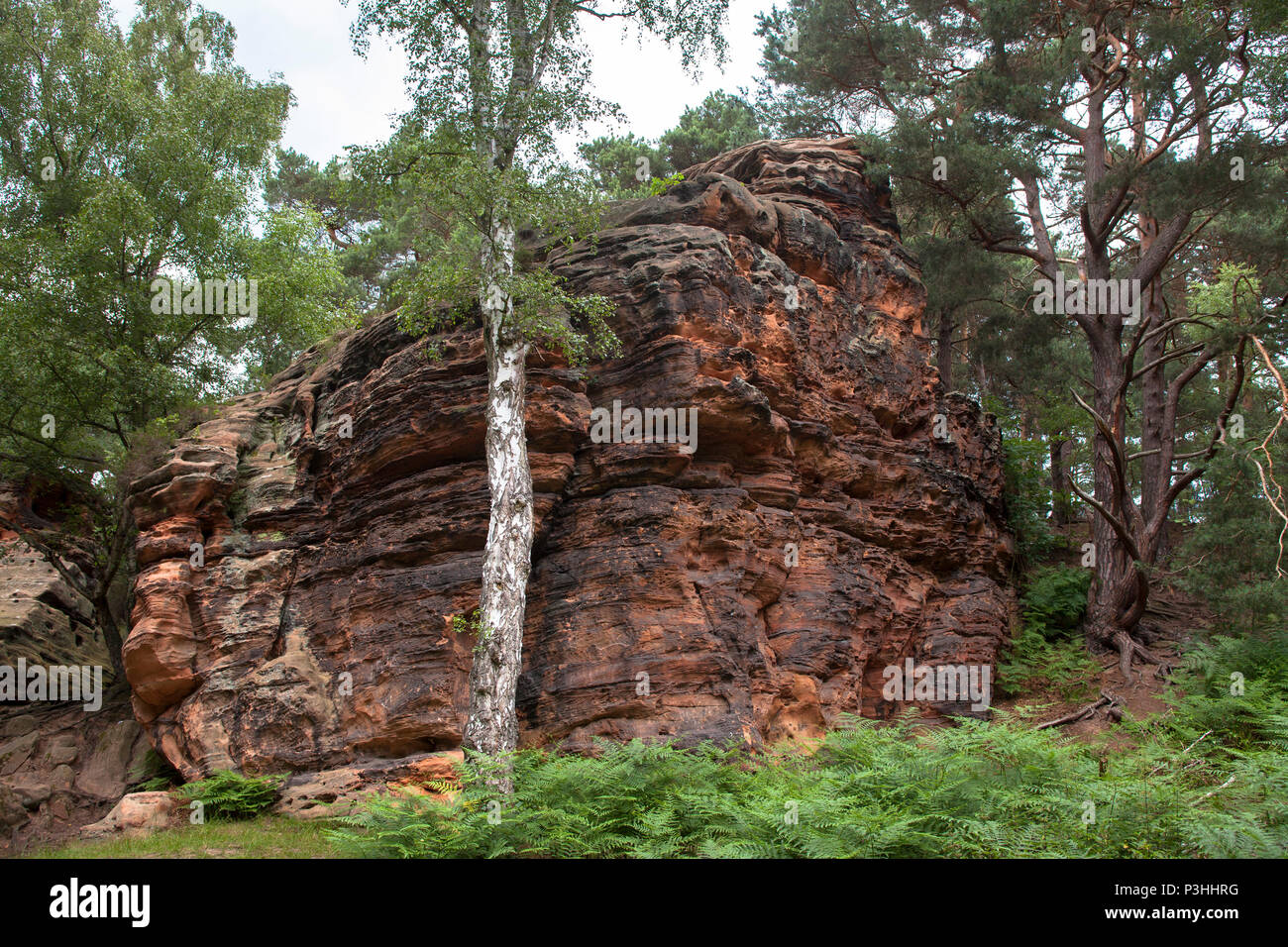 Germany, the Katzensteine (cat stones) in the valley of the Vey creek between Mechernich and Satzvey. The Katzensteine are part of a bunter areal, whi Stock Photo