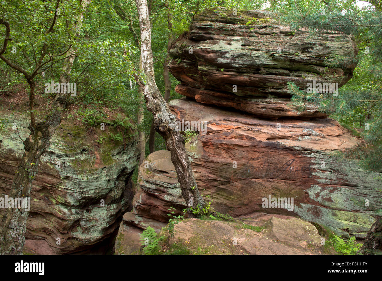 Germany, the Katzensteine (cat stones) in the valley of the Vey creek between Mechernich and Satzvey. The Katzensteine are part of a bunter areal, whi Stock Photo