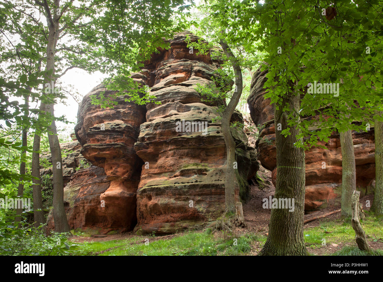Germany, the Katzensteine (cat stones) in the valley of the Vey creek between Mechernich and Satzvey. The Katzensteine are part of a bunter areal, whi Stock Photo