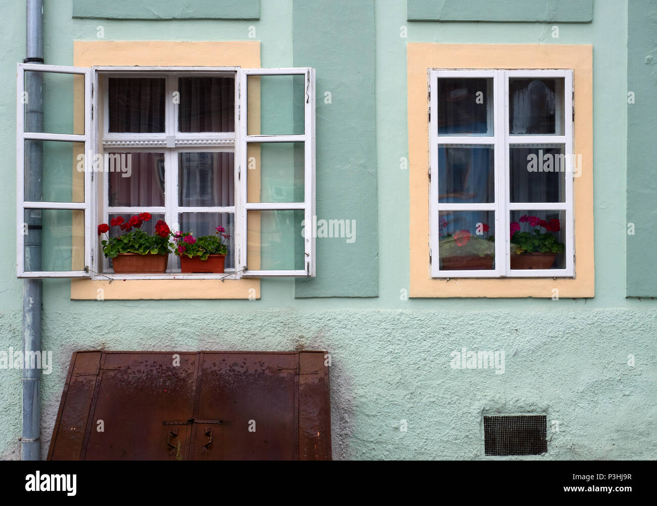 Two windows and flowers on a green house from Sighisoara old town, Romania Stock Photo