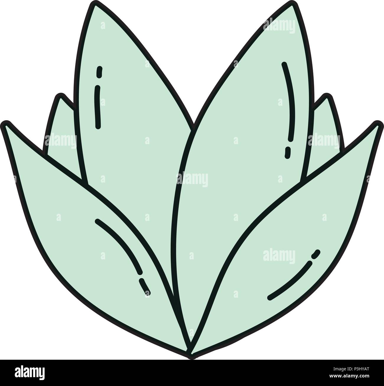 color natural plant tropical leaves style Stock Vector Image & Art - Alamy