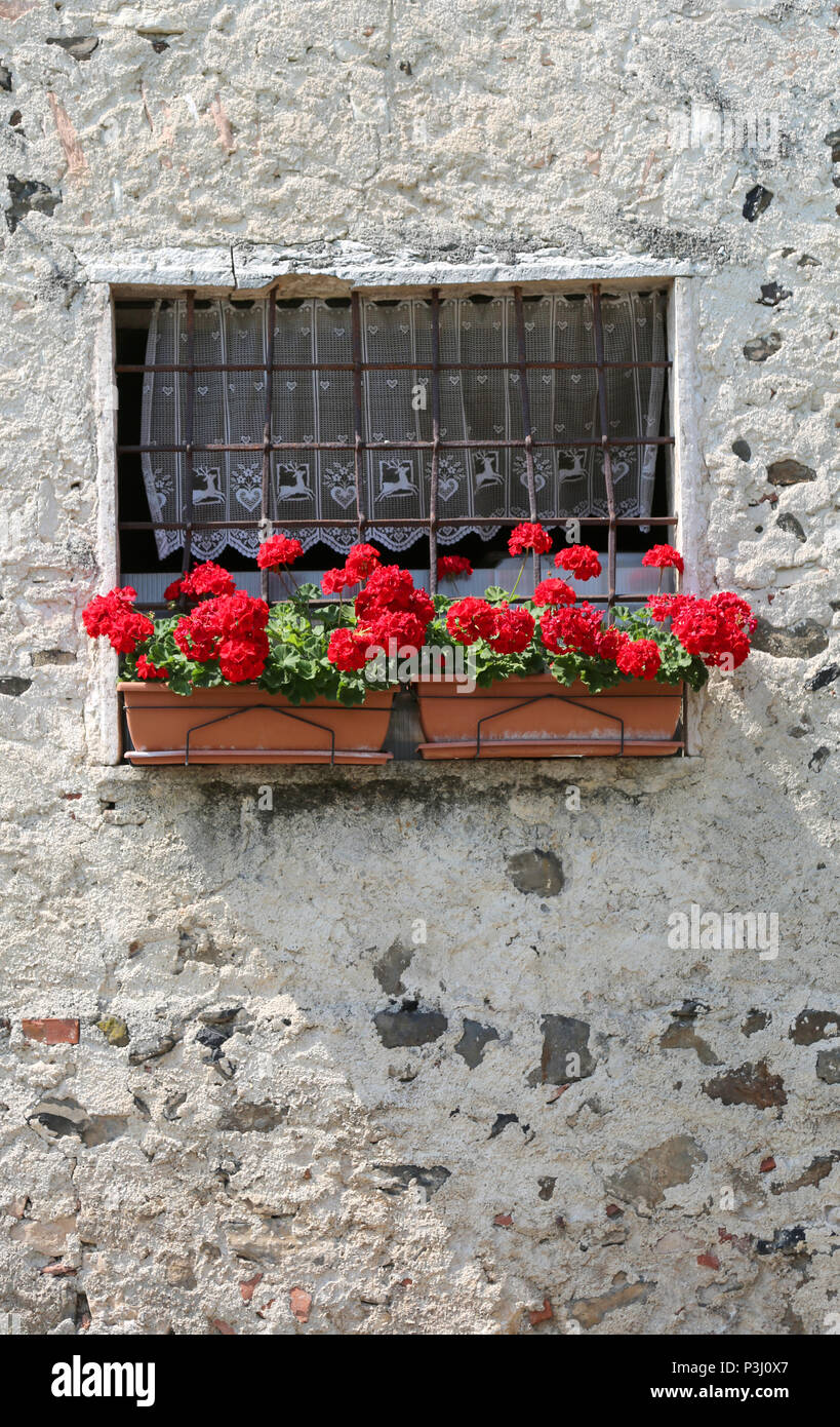 window of a country house with vase of red geraniums outside Stock ...
