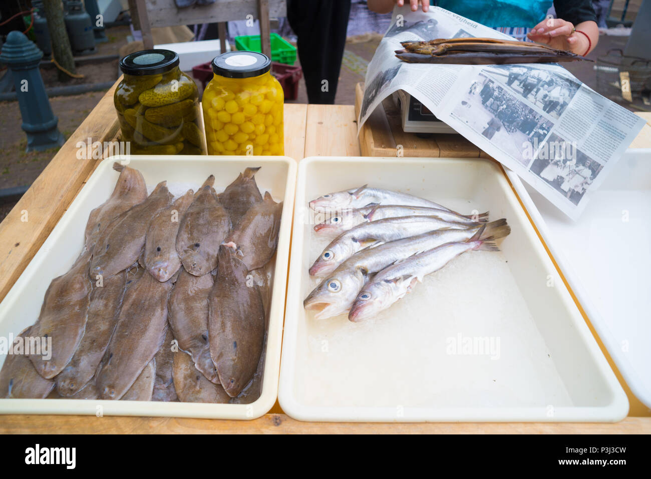 bins with fresh fish for sale in a dutch fisherman's village Stock