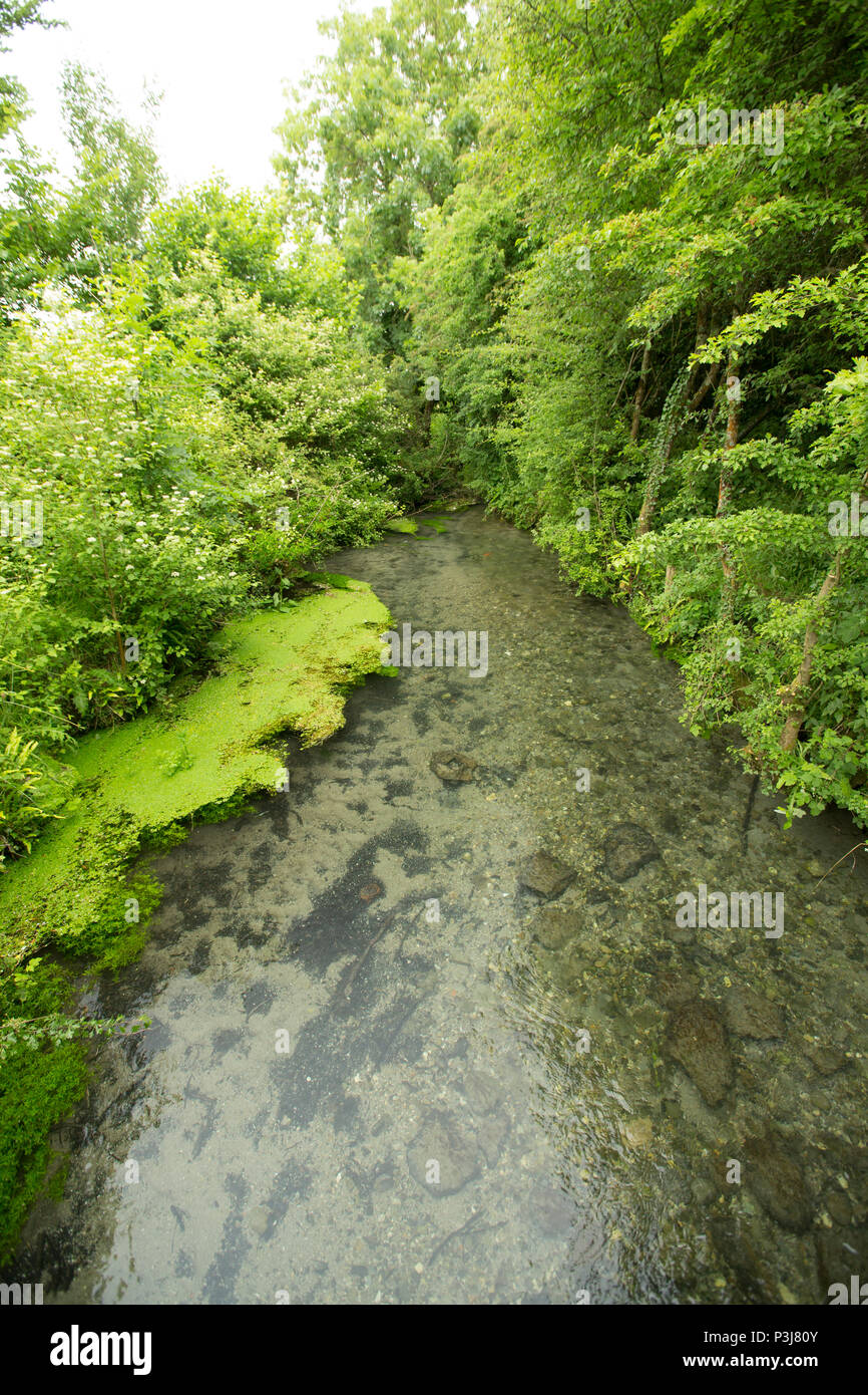 Shreen Water chalkstream below the small town of Mere in Wiltshire UK. Shreen Water is a tributary of the Dorset Stour river and it joins the Dorset S Stock Photo