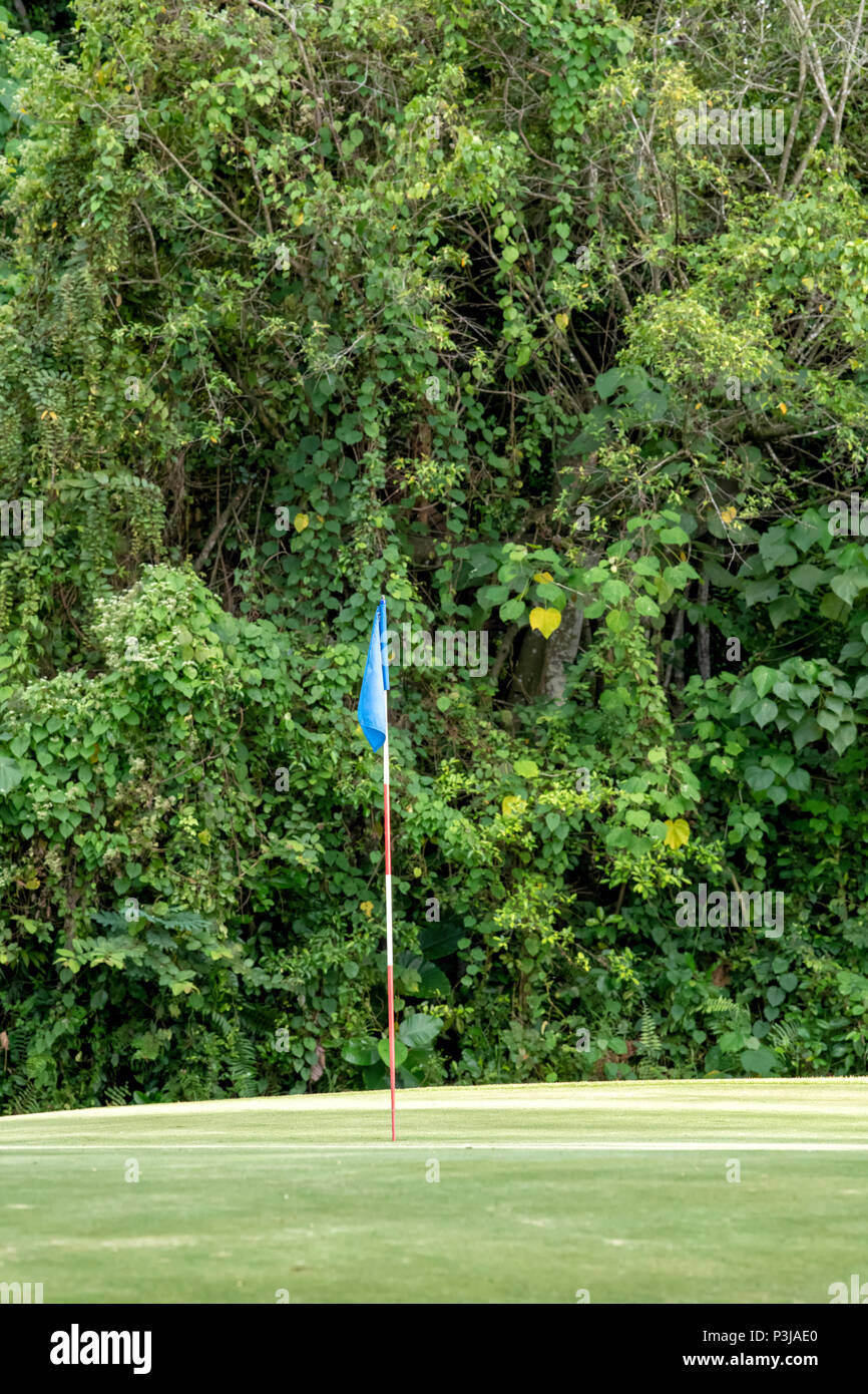 Blue Flag on the green of a golf course at the edge of a rainforest at the Shangri La Rasa Ria Hotel and Resort in Kota Kinabalu, Borneo, Malaysia Stock Photo