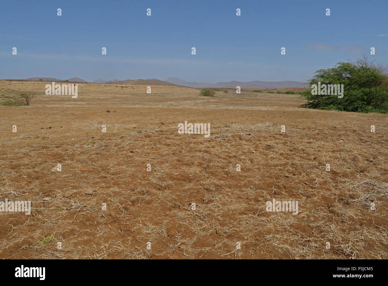 dry sandy plain during drought Santiago Island Cape Verde April Stock