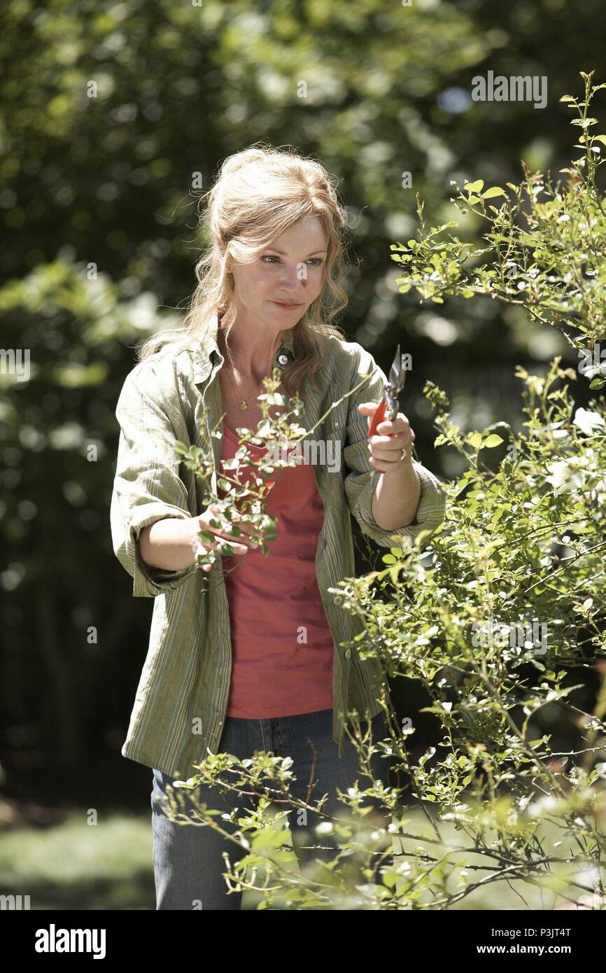 Original Film Title HACHIKO A DOG'S STORY. English Title HACHIKO A