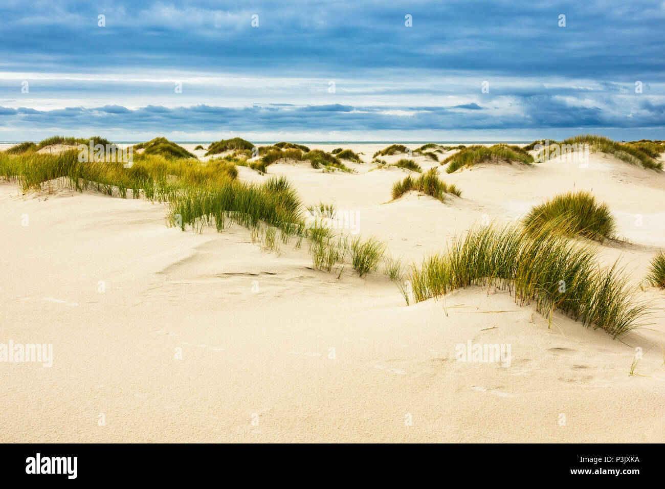 Dunes on the North Sea island Amrum, Germany. Stock Photo