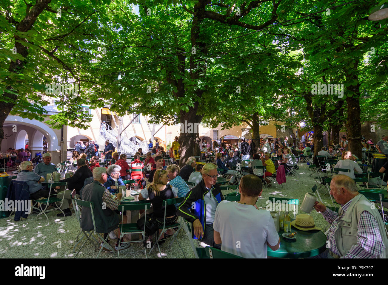 Salzburg Brewery Restaurant Beer Garden Augustiner Braustubl Mulln Blossoming Chestnut Trees In Austria Salzburg Stock Photo Alamy Salzburg Brewery Restaurant Beer Garden Augustiner Braustubl Mulln Blossoming Chestnut Trees In Austria Salzburg Stock Photo Alamy