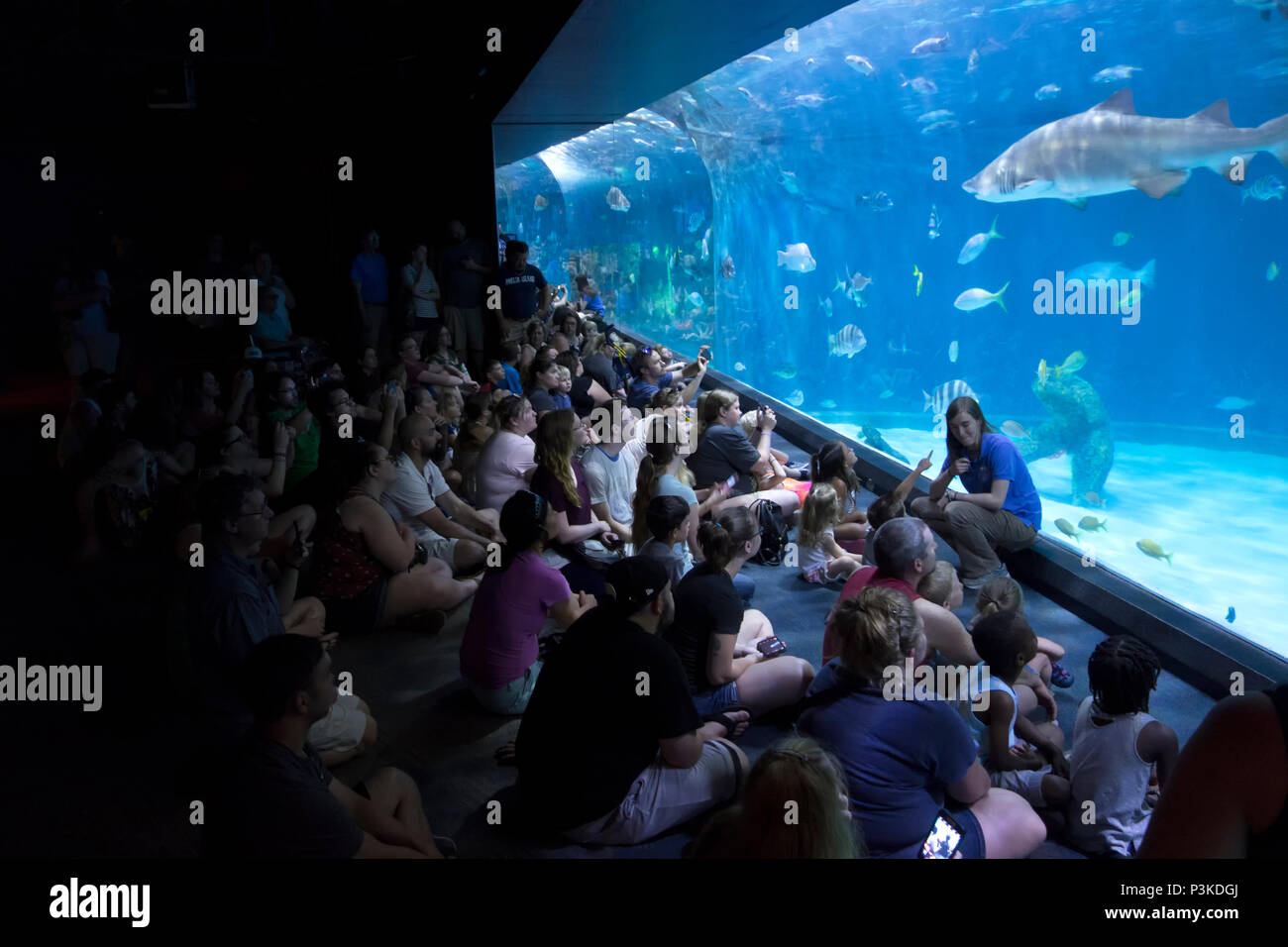 North Carolina Aquarium Roanoke Island Manteo Stock Photo Alamy