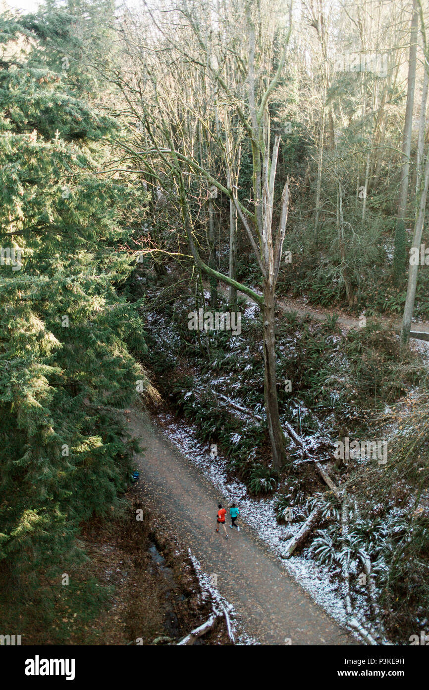 Two runners on forest trail, Seattle, Washington, USA Stock Photo
