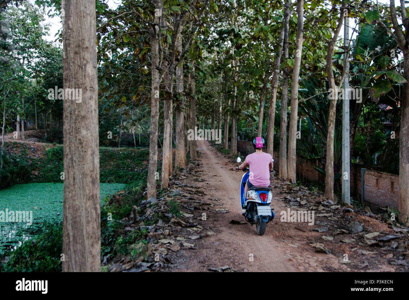 Woman riding scooter on forest road, Pai, Mae Hong Soon, Thailand Stock Photo