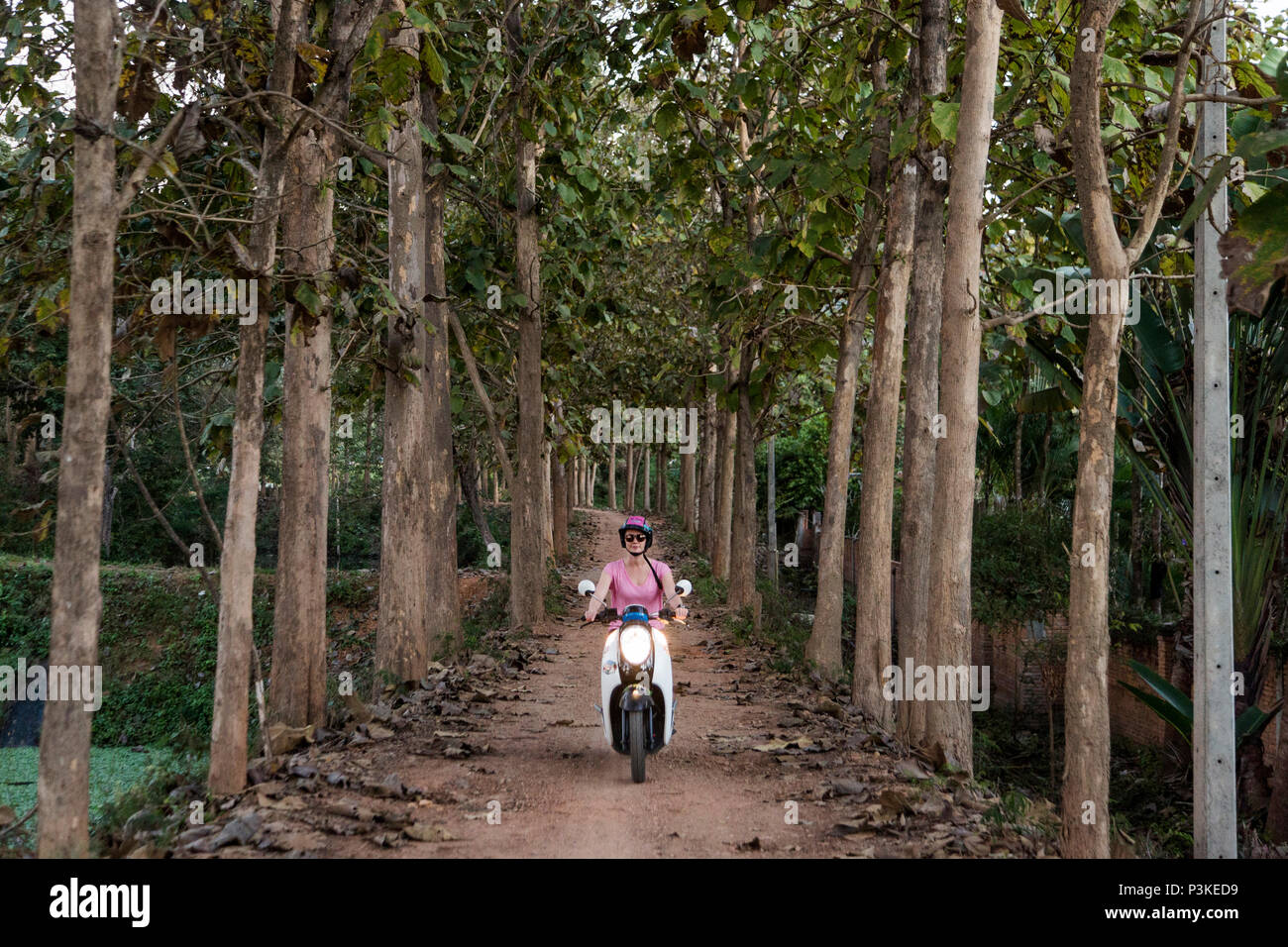 Woman riding scooter on forest road, Pai, Mae Hong Soon, Thailand Stock Photo