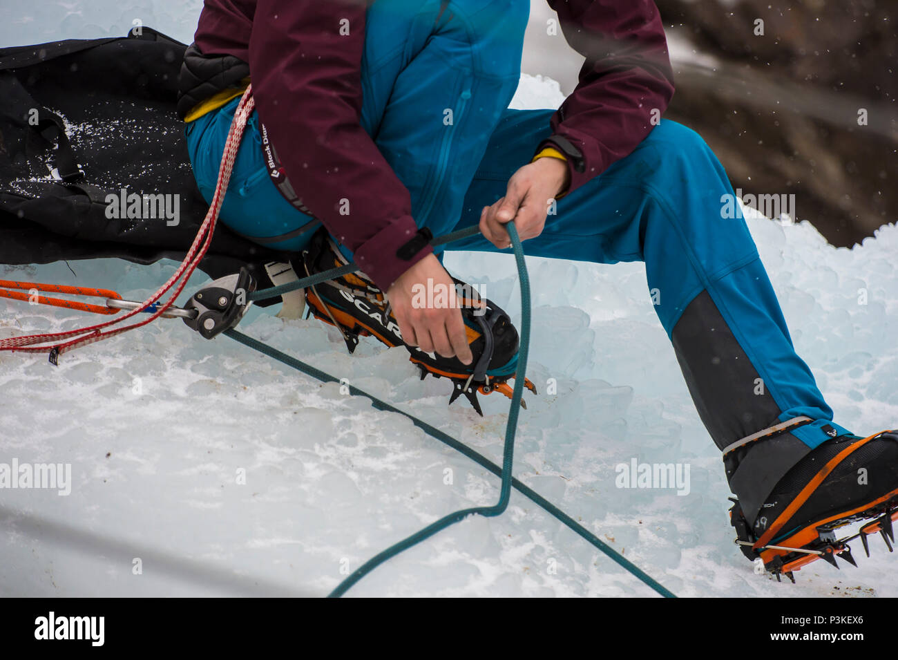 Climber checking rope, Colorado, USA Stock Photo