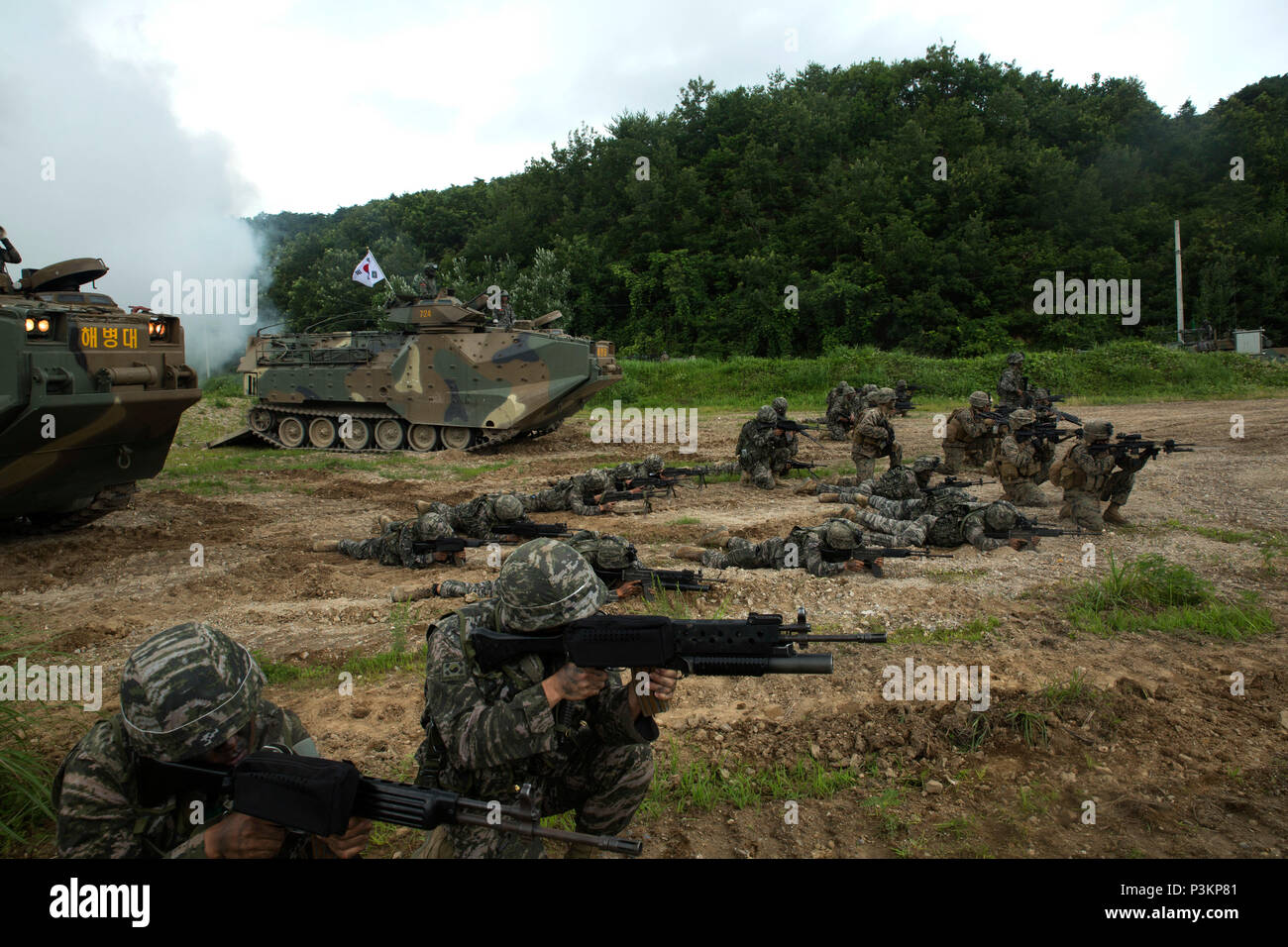 U.S. and Republic of Korea Marines sight in side-by-side in front of ROK Assault Amphibious Vehicles July 6, 2016 at Suseong Range, South Korea, during a Korean Marine Exchange Program. The goal of the KMEP is to sustain the combined force and enhance the ROK-U.S. team at the tactical level to build combined warfighting capabilities. During this exercise the Marines carried out a bilateral regimental-sized Marine Air Ground Task Force operation for the first time. The ROK Marines were a part of 73rd Battalion, 7th Regiment, 1st Marine Division. The U.S. service members are a part of 2nd platoo Stock Photo