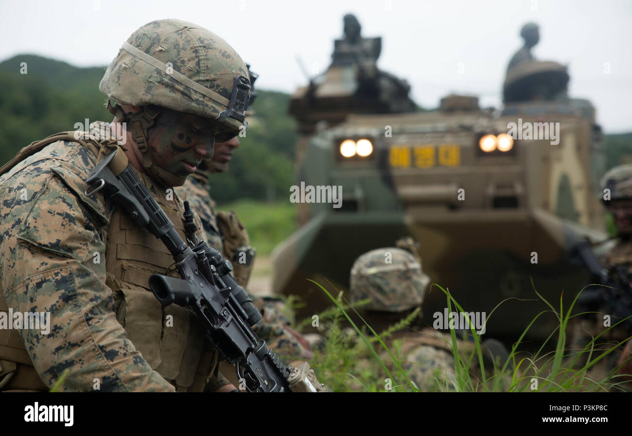Lance Cpl. Donovan Cooke sits amongst his fellow Marines after running out of a Republic of Korea Assault Amphibious Vehicle July 6, 2016 at Suseong Range, South Korea during a Korean Marine Exchange Program, or KMEP. The goal of the KMEP is to sustain the combined force and enhance the ROK-U.S. team at the tactical level to build combined warfighting capabilities. During this exercise the Marines carried out a bilateral regimental-sized Marine Air-Ground Task Force operation for the first time. The ROK Marines were a part of 73rd Battalion, 7th Regiment, 1st Marine Division. Cooke, a Zephyrhi Stock Photo