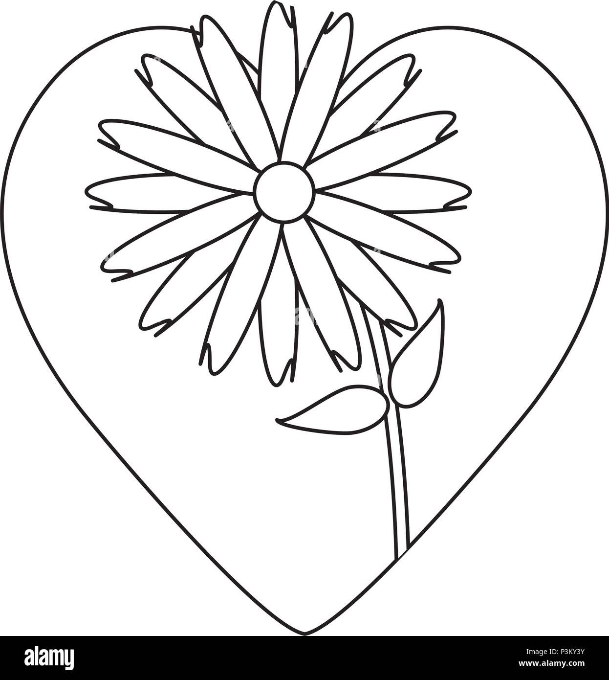beautiful flower over heart and white background, vector illustration ...