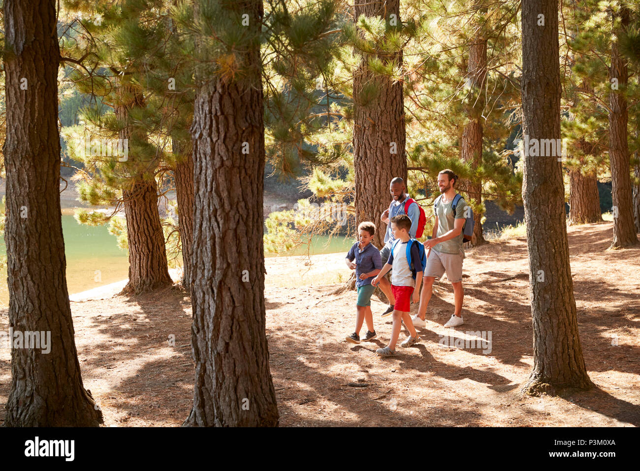Boys With Fathers On Hiking Adventure Through Forest Stock Photo