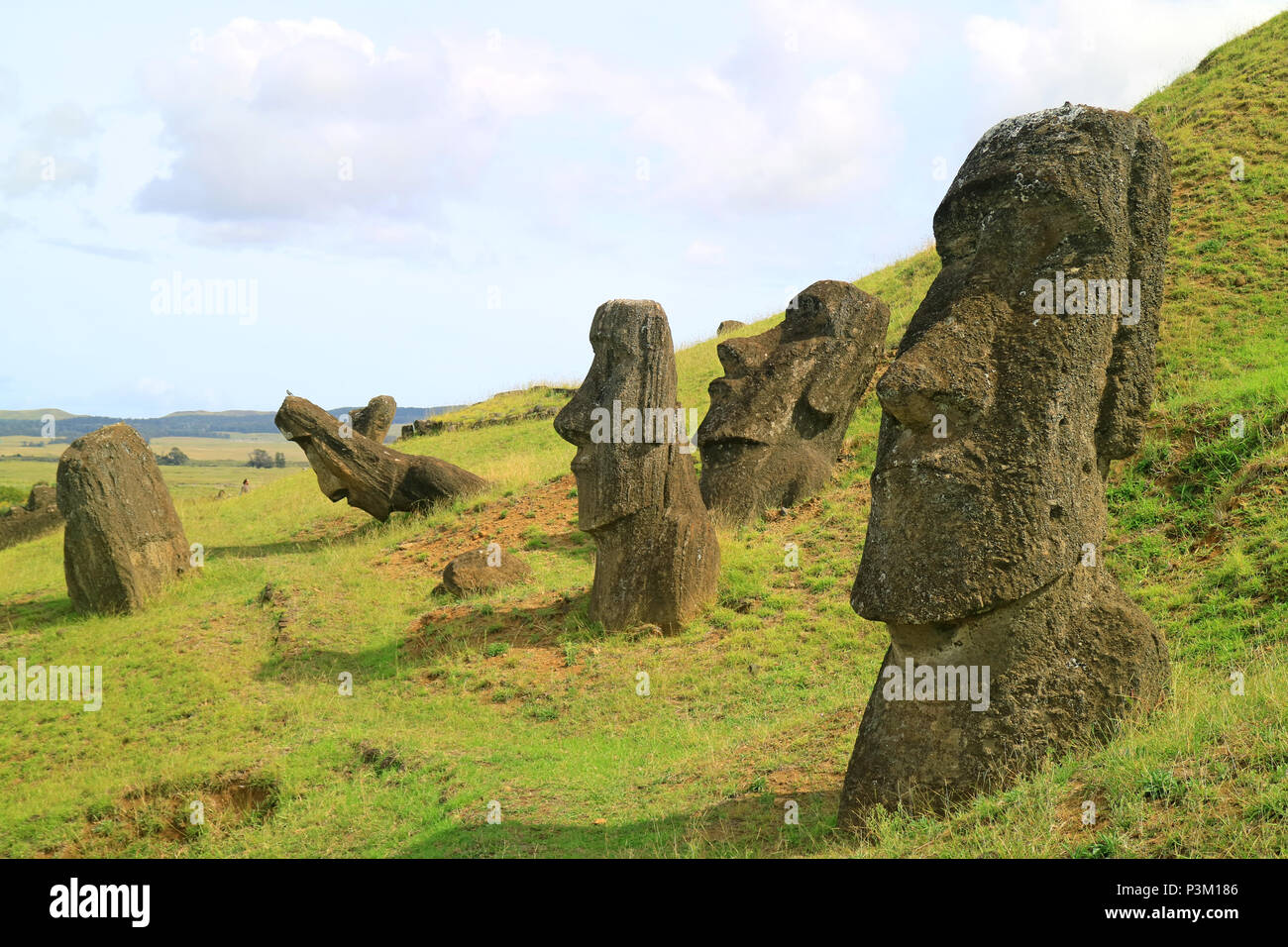 Many of Moai statues scattered on the slope of Rano Raraku volcano