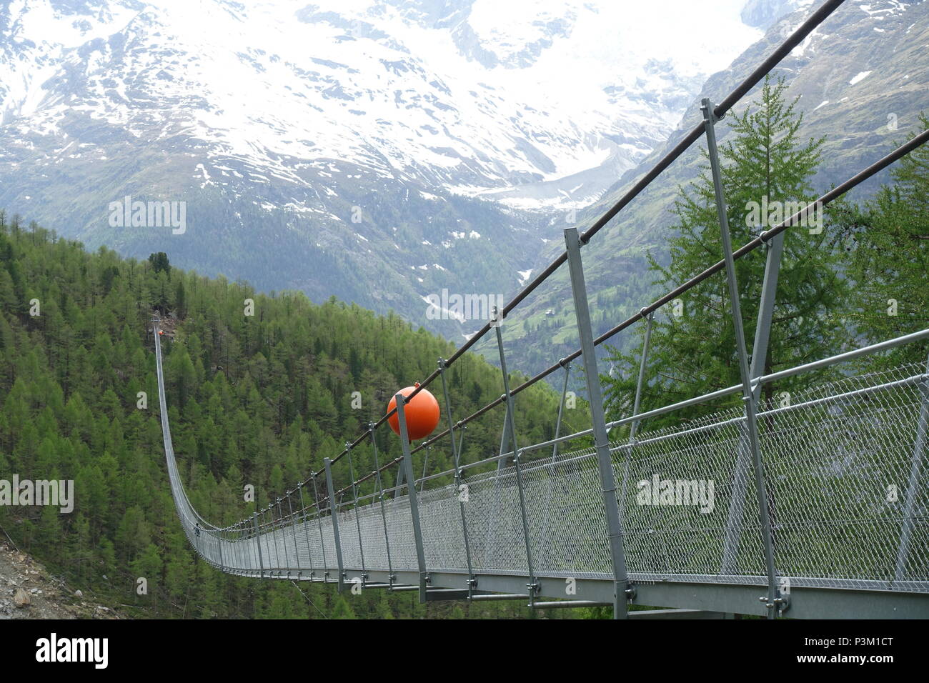 The Charles Kuonen Suspension Bridge near Zermatt, Switzerland. This is the longest hanging