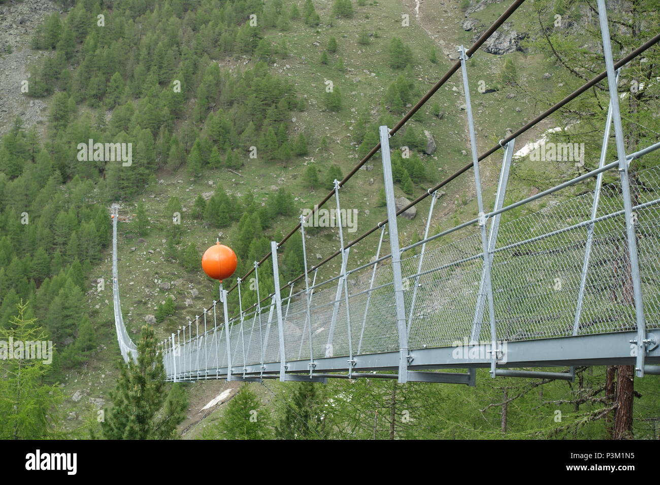 The Charles Kuonen Suspension Bridge near Zermatt, Switzerland. This is the longest hanging