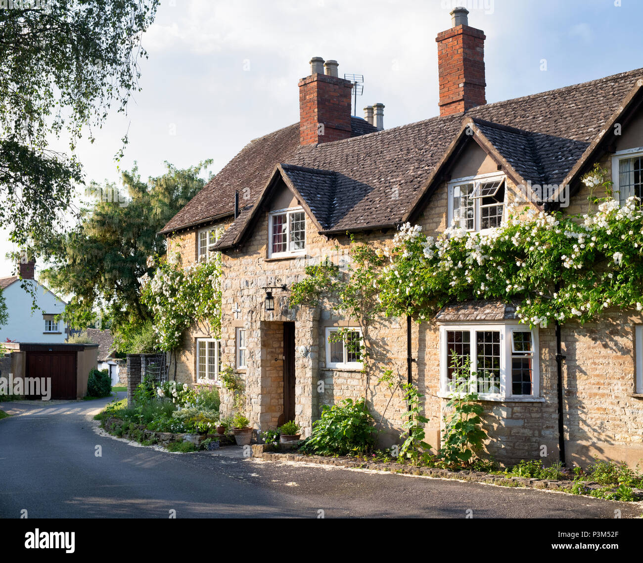 Cottage and climbing roses in the village of Tredington, Warwickshire, England Stock Photo
