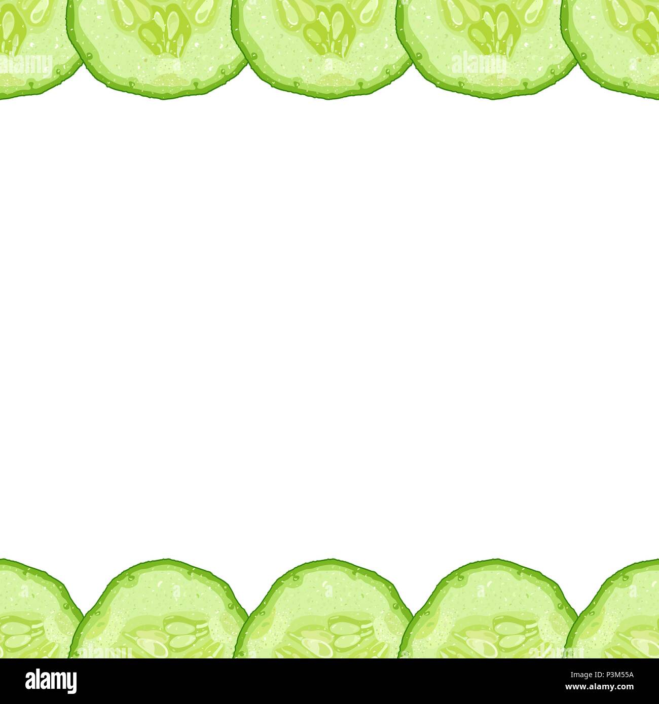 Vector decorative border of cucumber slice on white background Stock
