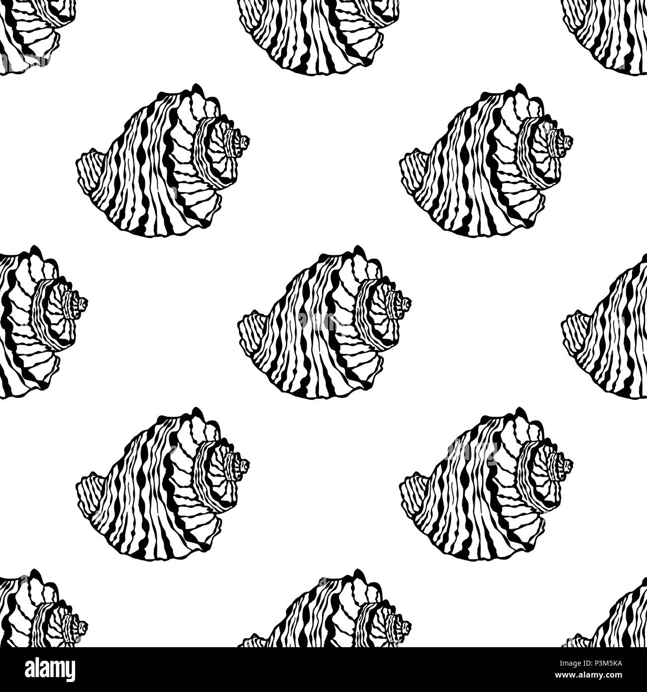 Vector seamless pattern from black seashell on white background. Hand ...