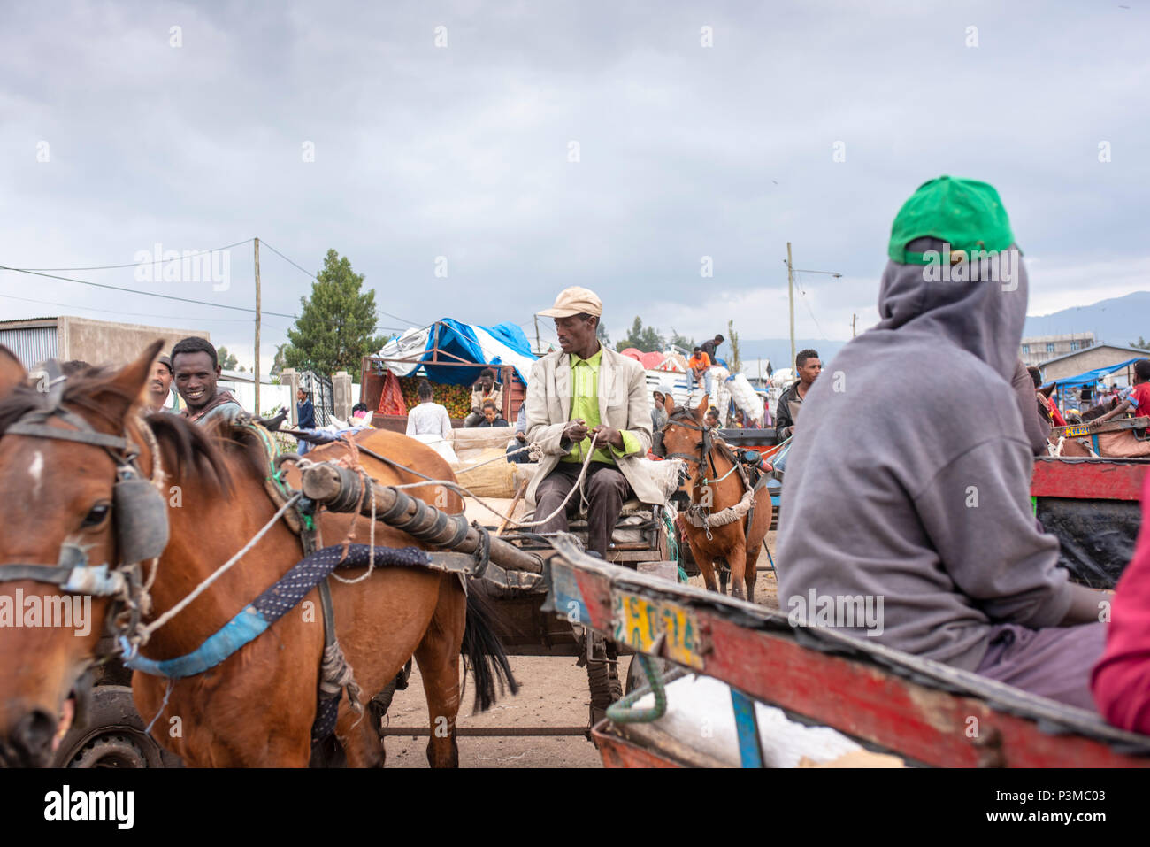 Horse cart driver, Robe, Ethiopia Stock Photo Alamy