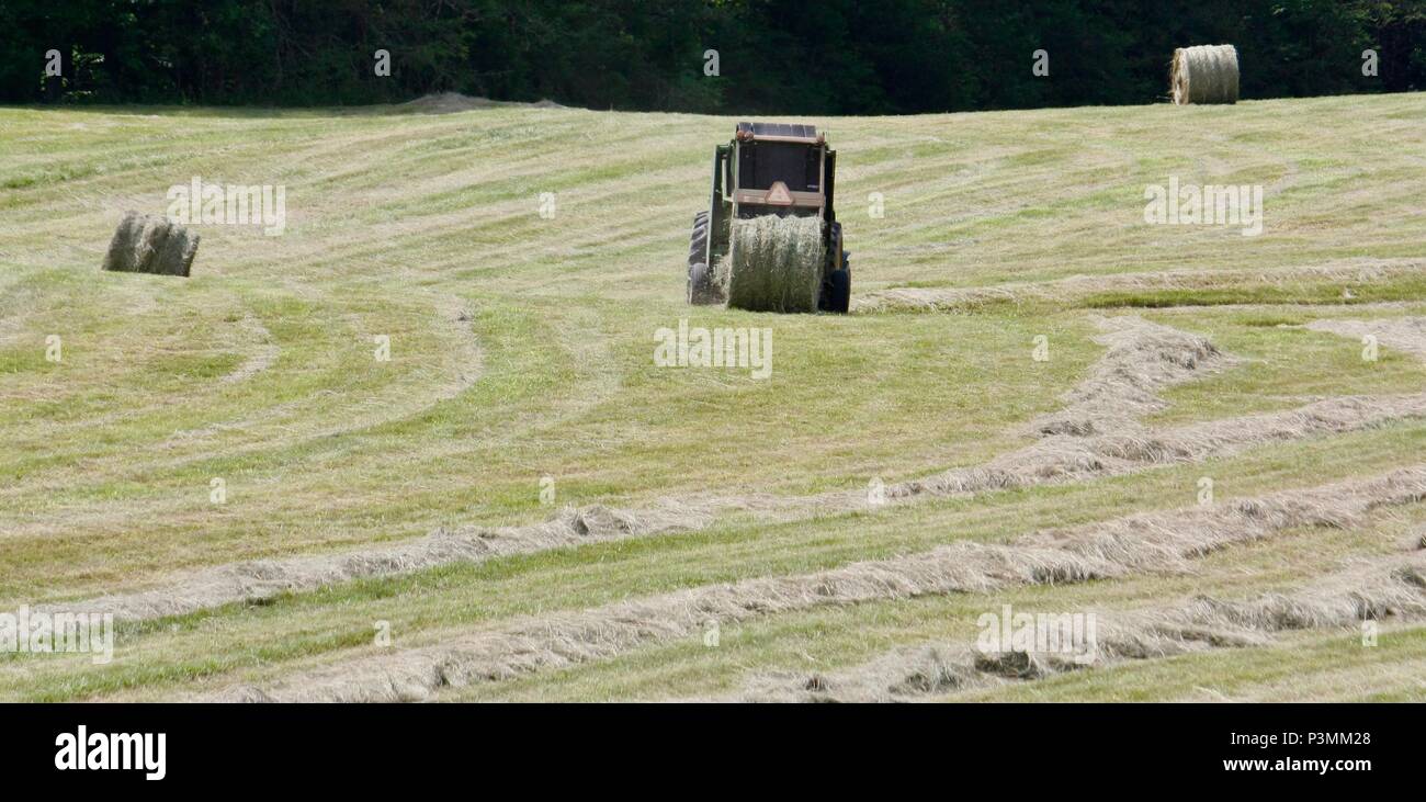 Making Round Hay Bales Stock Photo