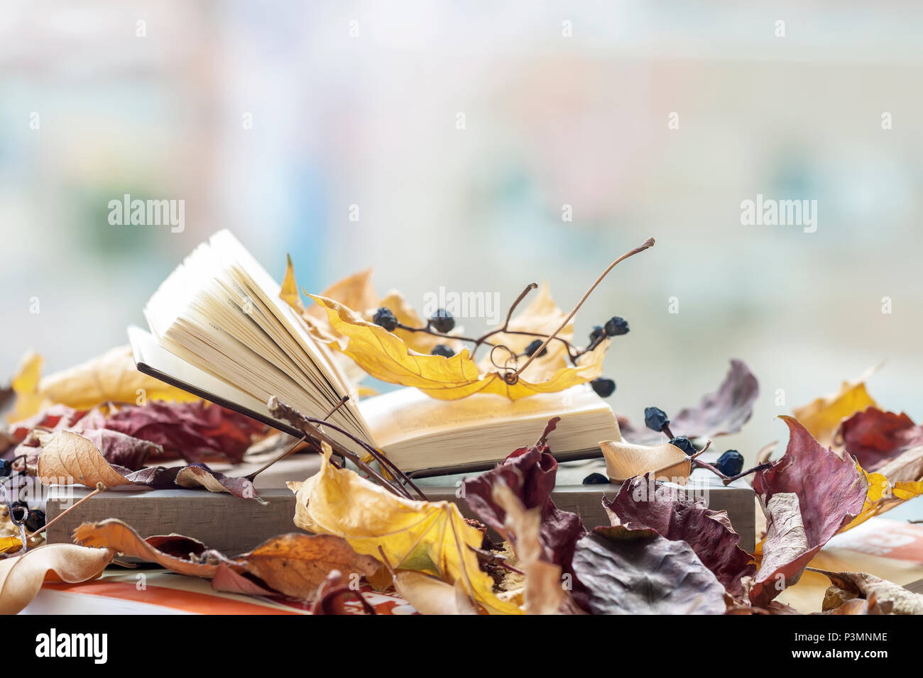 Open book on the windowsill close-up, covered with autumn leaves, copy space, sunny fall day, modern background. Top view. Concept of starting school, romantic mood Stock Photo