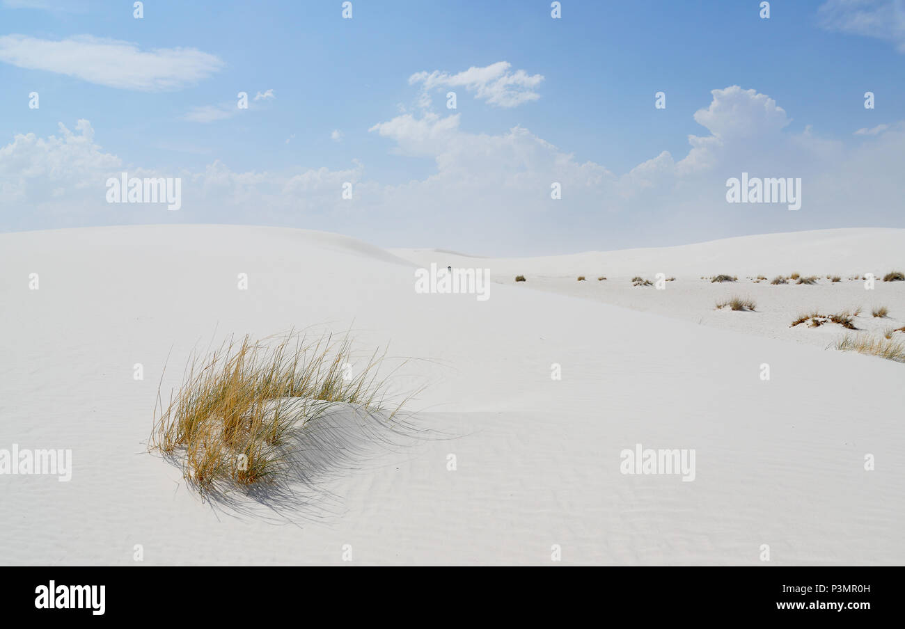 White sand dunes and grasses on a day with blue skies and clouds Stock Photo