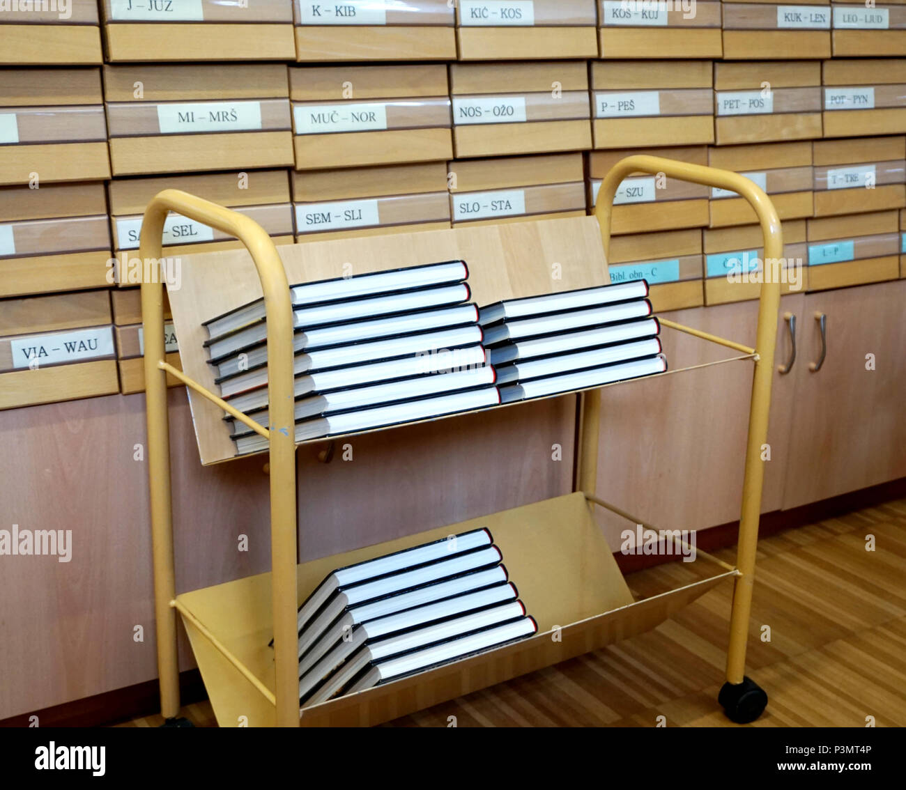 Library book cart with new books on it and library cataloque in the background. Educational, library, science and academic knowledge concept Stock Photo
