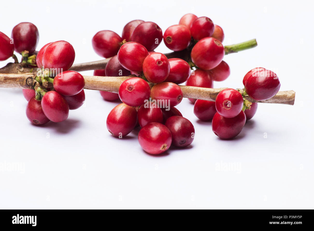 Red cherry coffee beans Cut Out Stock Images & Pictures Alamy