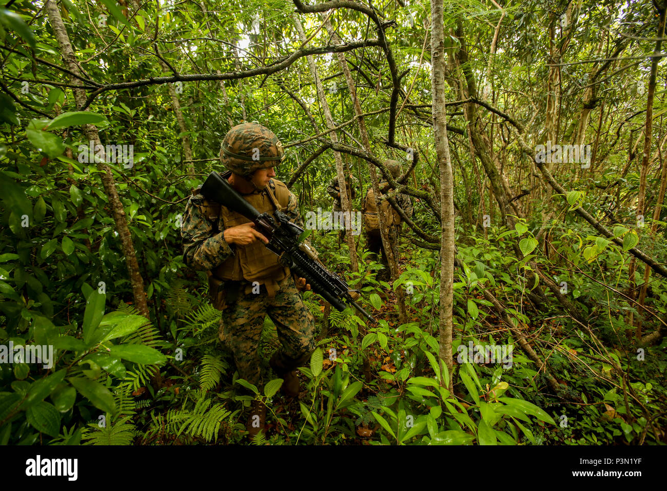 160713-M-JM737-017 KAHUKU TRAINING AREA, Hawaii (July 13, 2016) - U.S. Marines of Golf Company, 2nd Battalion, 3rd Marines, move through the jungle towards their objective as part of a raid during Rim of the Pacific 2016. Twenty-six nations, 49 ships, six submarines, about 200 aircraft, and 25,000 personnel are participating in RIMPAC 16 from June 29 to Aug. 4 in and around the Hawaiian Islands and Southern California. The world’s largest international maritime exercise, RIMPAC provides a unique training opportunity while fostering and sustaining cooperative relationships between participants  Stock Photo