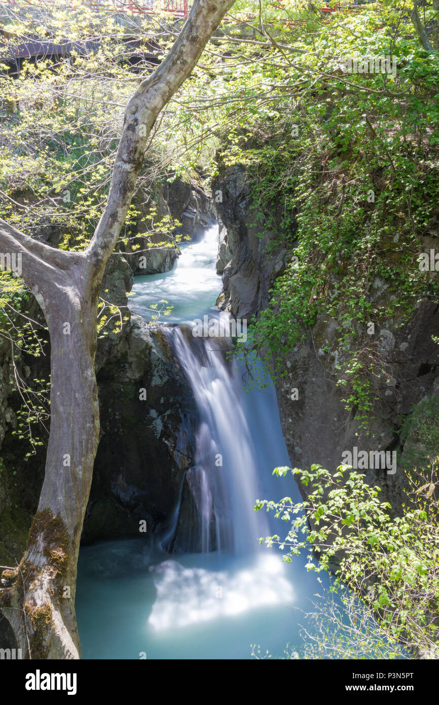 Silky smooth forest waterfall Stock Photo