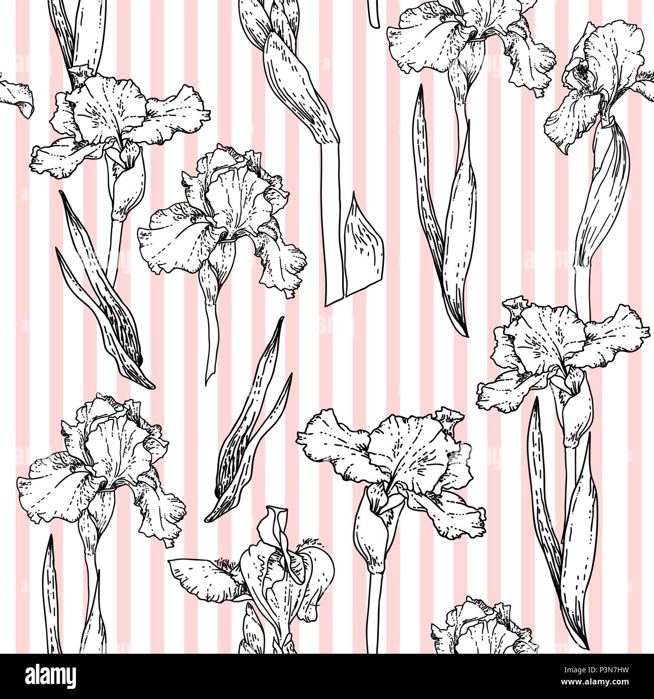 Iris flower beauty Stock Vector Images - Page 3 - Alamy