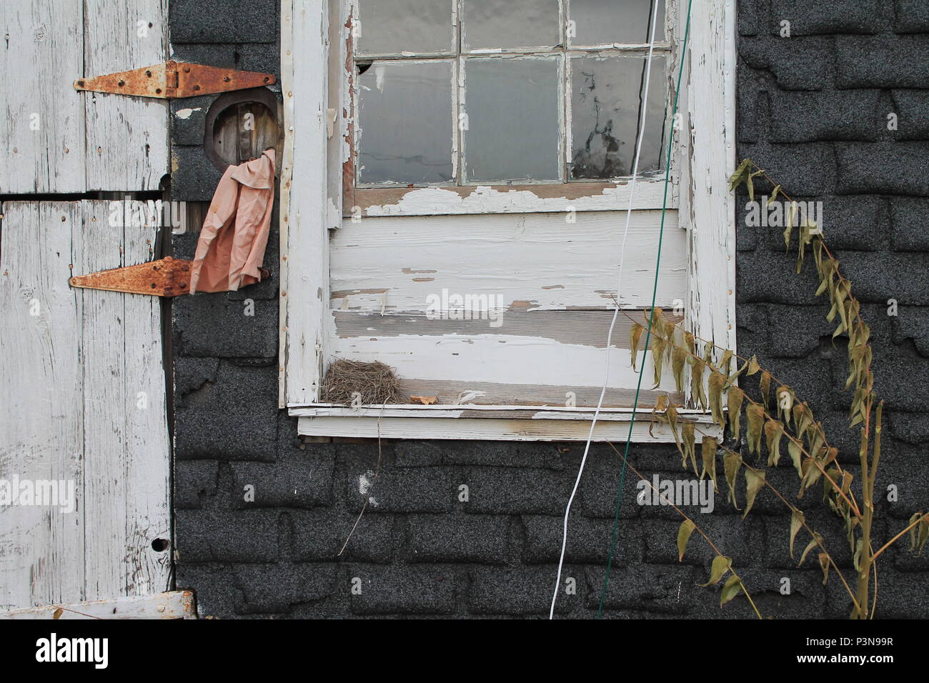 A vacant bird nest sits in the corner on the ledge of a white weathered window next to the rusty hinged dutch door of an old barn in MontCo. Pa Stock Photo