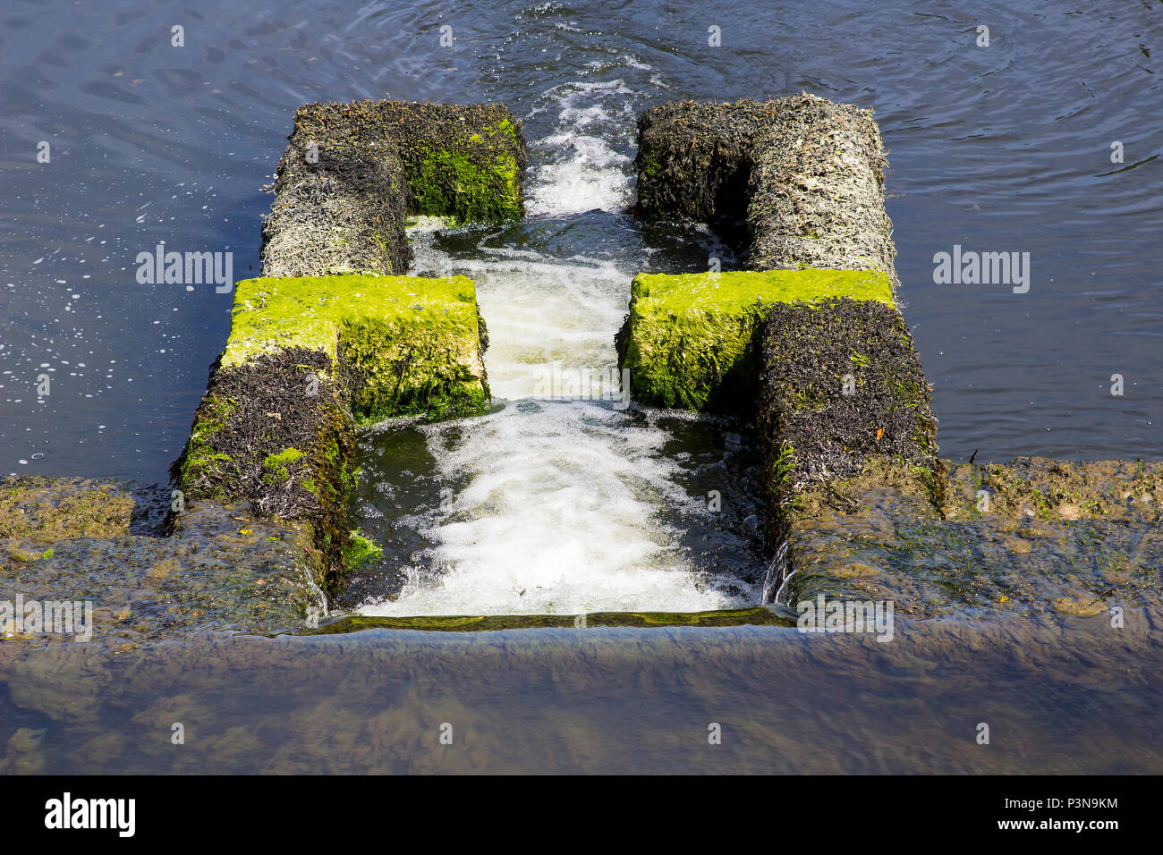 The salmon leap at the mouth of the Shimna River in the centre of