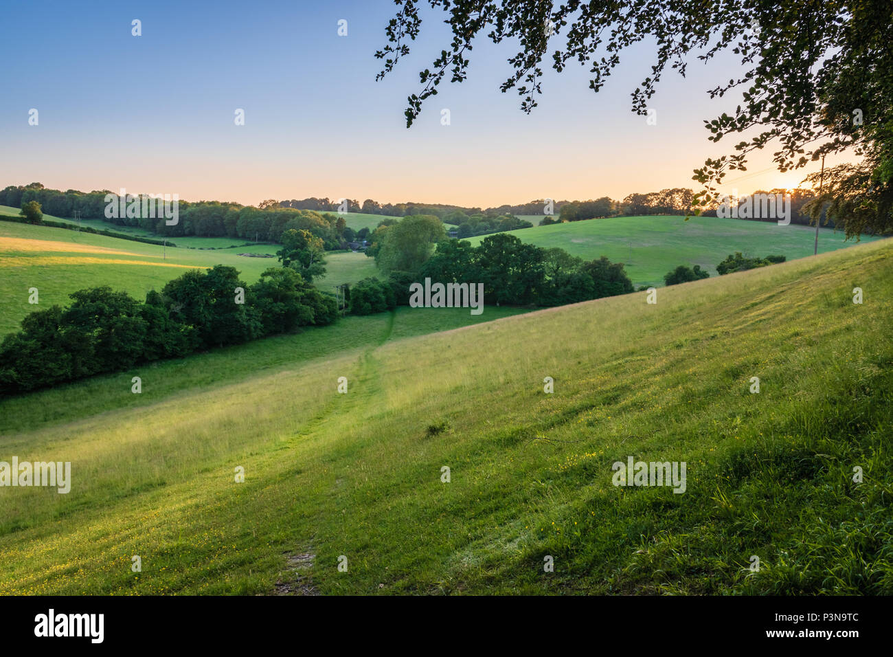 A summer evening's view of the Bix Valley in the Chilterns Stock Photo
