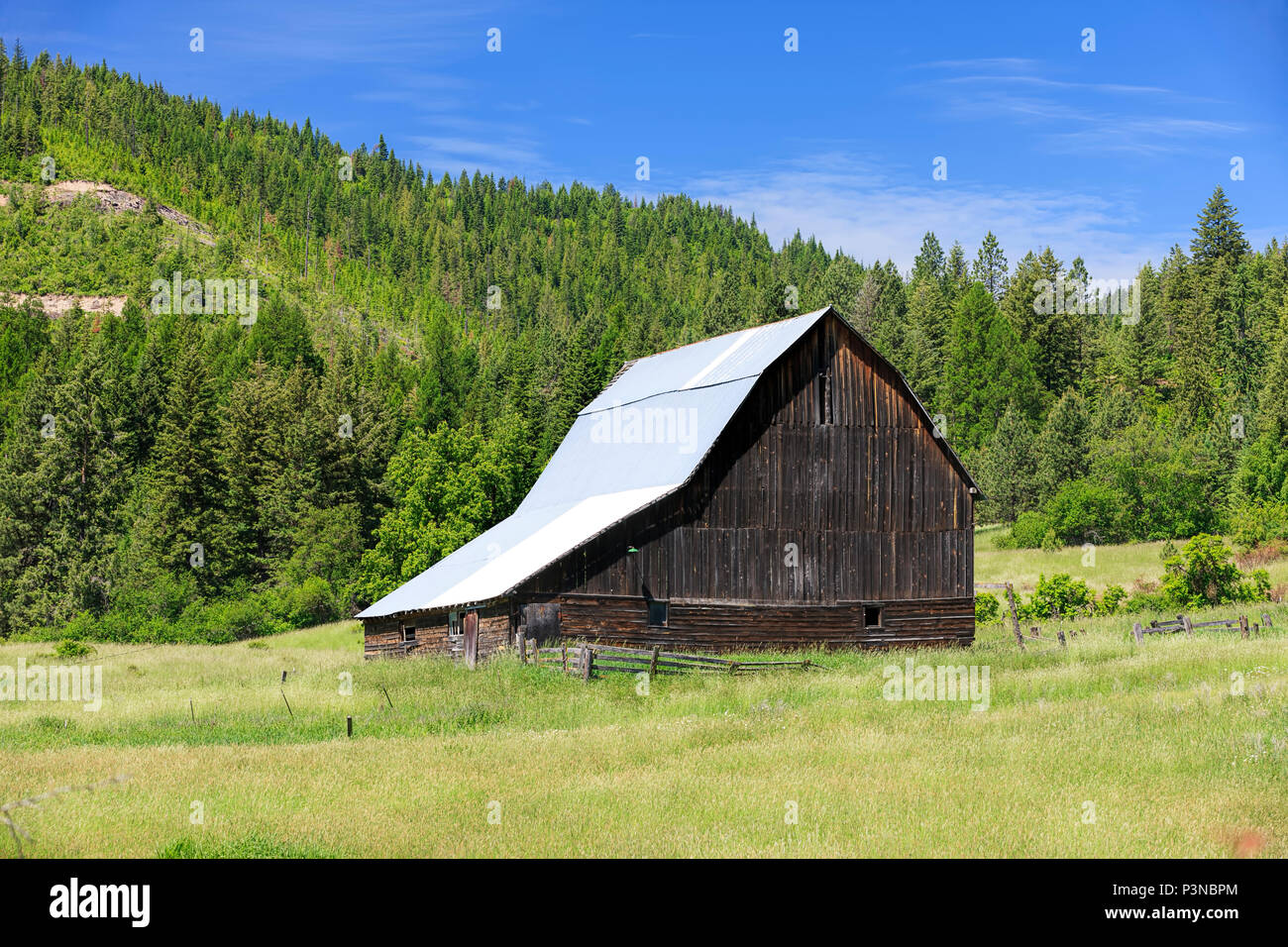 A grassy field leading up to a barn on a sunny day near Harrison, Idaho