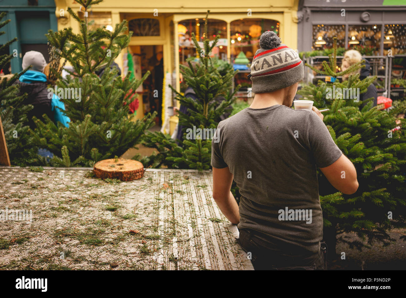 London, UK December 2017. Christmas trees on sale in Columbia Road