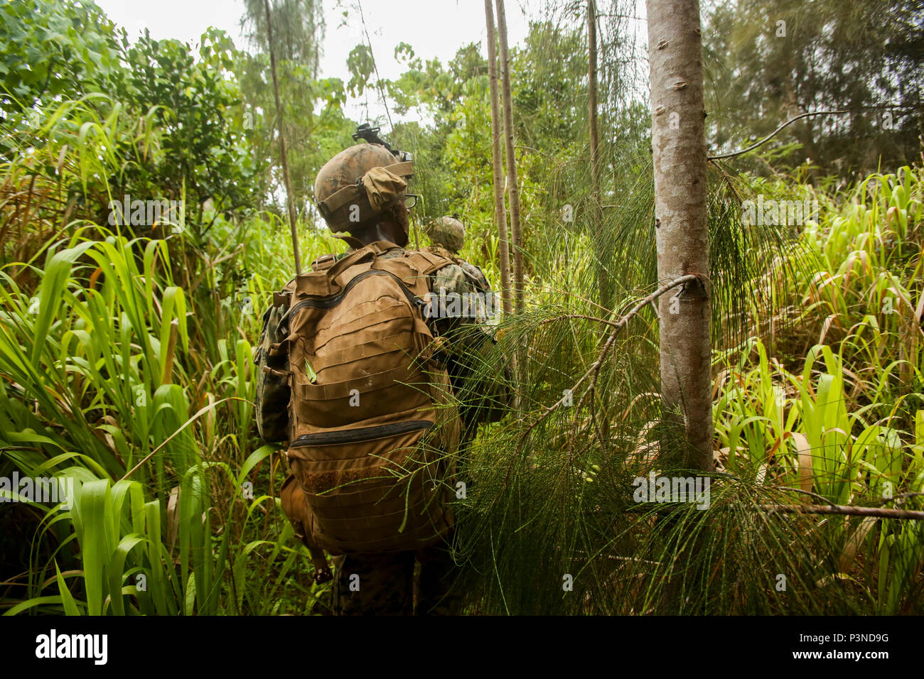 160713-M-JM737-017 KAHUKU TRAINING AREA, Hawaii (July 13, 2016) - U.S. Marines from Golf Company, 2nd Battalion, 3rd Marines, move through the jungle towards their objective as part of a raid during Rim of the Pacific 2016. Twenty-six nations, 49 ships, six submarines, about 200 aircraft, and 25,000 personnel are participating in RIMPAC 16 from June 29 to Aug. 4 in and around the Hawaiian Islands and Southern California. The world’s largest international maritime exercise, RIMPAC provides a unique training opportunity while fostering and sustaining cooperative relationships between participant Stock Photo