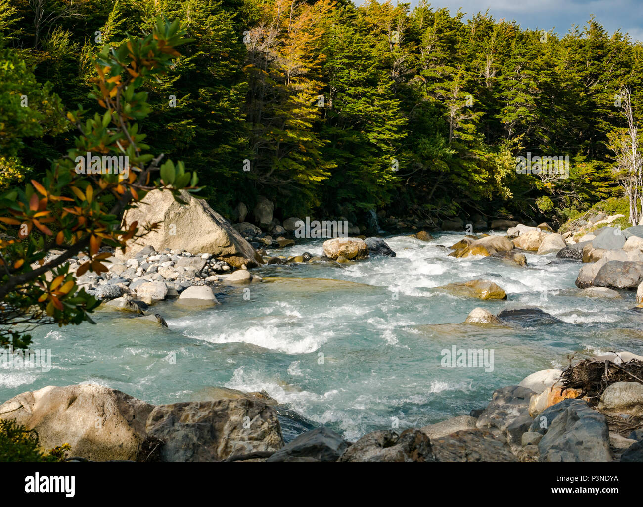 Glacier melt water mountain river, French Valley, Torres del Paine National Park, Patagonia, Chile Stock Photo