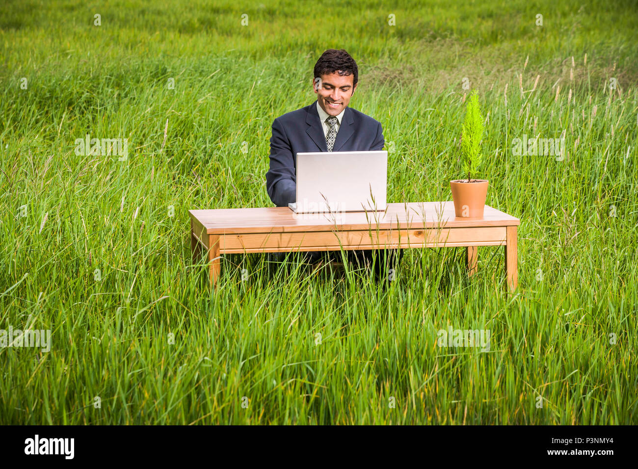 A businessman sitting at a desk in a green grassy field working on a ...