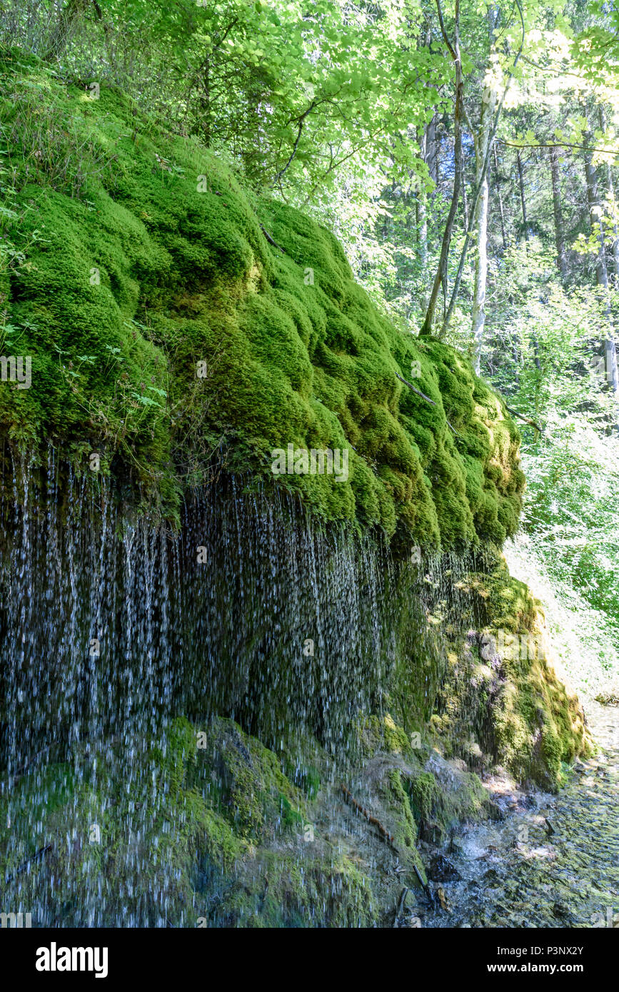Wutach Gorge with river and waterfalls - Walking in beautiful landscape ...